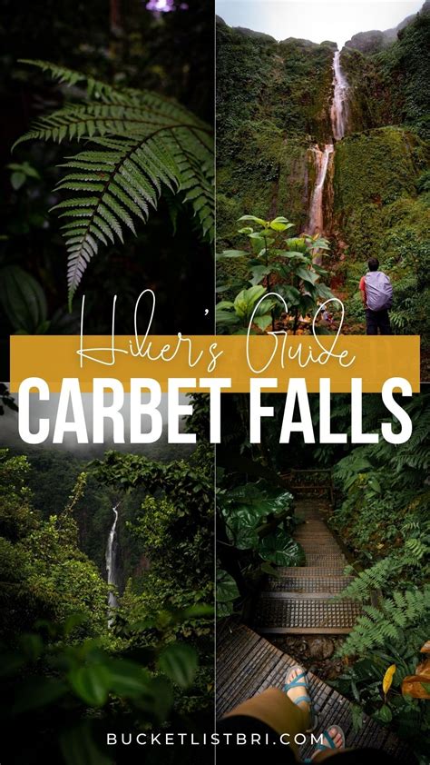 Hiking To Les Chutes Du Carbet Waterfalls In Guadeloupe Caribbean