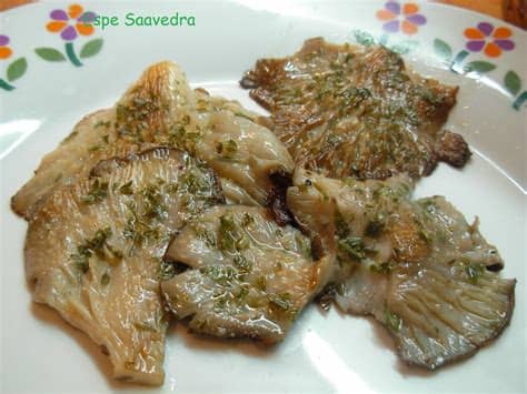 La seta de cardo es la variante más grande de la familia de los hongos ostra. Espe Saavedra, en la cocina: SETAS DE CARDO A LA PLANCHA
