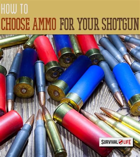 Home Defense The Best Ammo For Your Shotgun Survival Life Outdoor