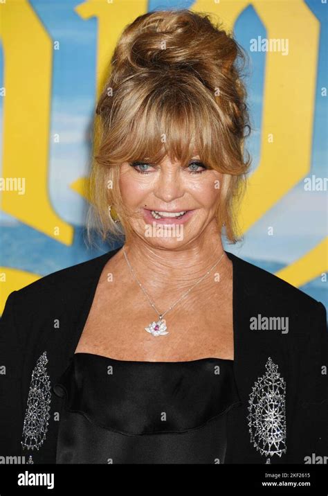Los Angeles California November 14 Goldie Hawn Attends The Premiere