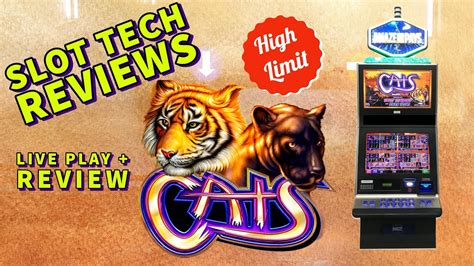 Cats Slot Machine 🎰 High Limit Play Plus Game Review Youtube