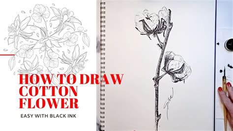 How To Draw A Cotton Flower With Ink Timelapse Video Tutorial How To