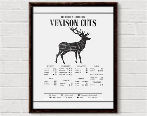 Butcher Poster Venison Deer Cuts Butcher Cuts Print Etsy Canada