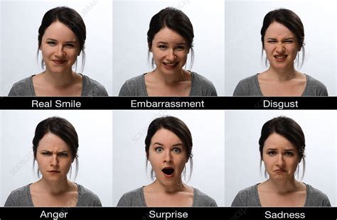 Different Facial Expressions Stock Image C0273993 Science Photo