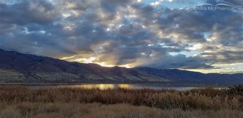 Cloudy Sunrise Over The Wasatch Mountains At Farmington Bay Wma On