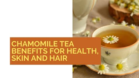Chamomile Tea Benefits For Health Skin And Hair Food Benefits YouTube