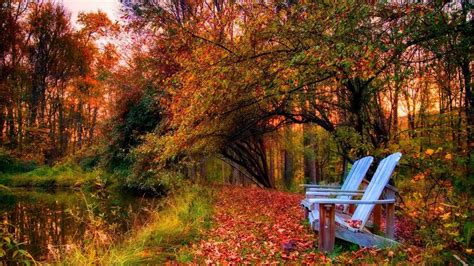Warm Autumn Day Wallpapers Wallpaper Cave