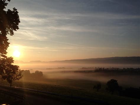 Morning Fog And Sunrise Image Free Stock Photo Public Domain Photo