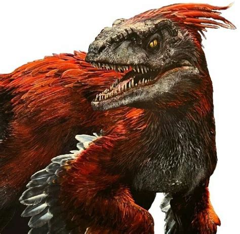 Pyroraptor Feather Red Raptor In 2022 Jurassic Park World