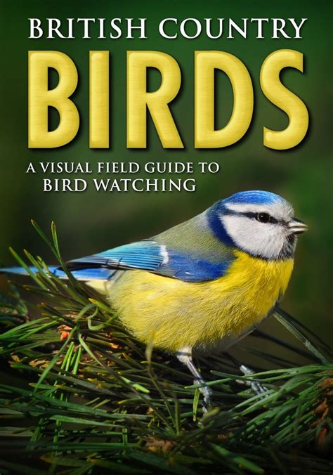 British Country Birds A Visual Field Guide To Bird Watching