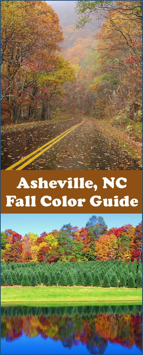 See The Asheville Nc Fall Foliage Forecast And Guide For