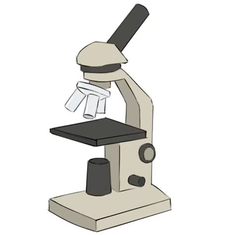 How To Draw A Microscope Step By Step