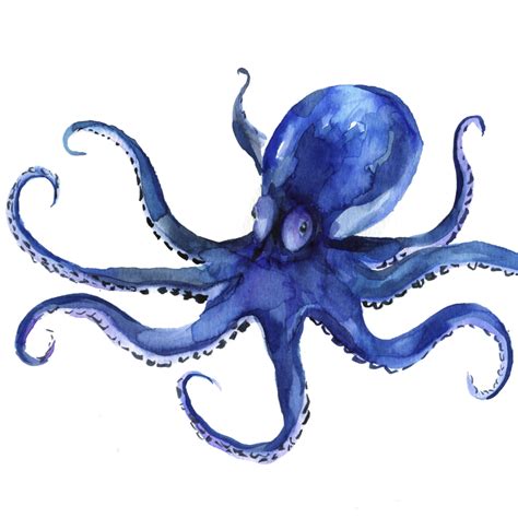 Octopus Watercolor Paint Kit Kit Octopus Paint Octopus Painting