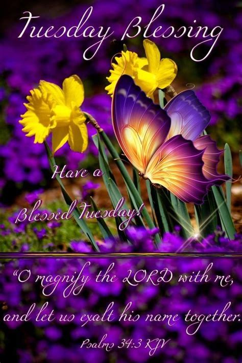 180tuesday Blessings Images Photos Quotes  Pics Tuesday Quotes