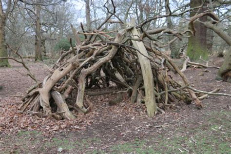 To Build Or Not To Build A Den Friends Of Richmond Park