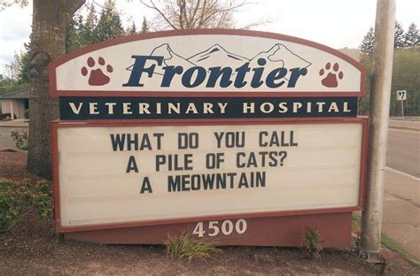 Veterinary Hospital Veterinary Care Cat Signs Funny Signs Vet