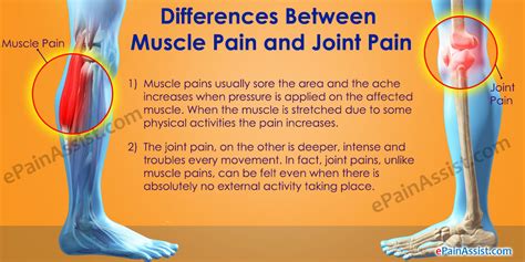 Differences Between Muscle Pain And Joint Pain