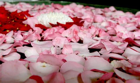 Floristry distance learning course with learndirect and abc awards. Luxurious Floral Bath