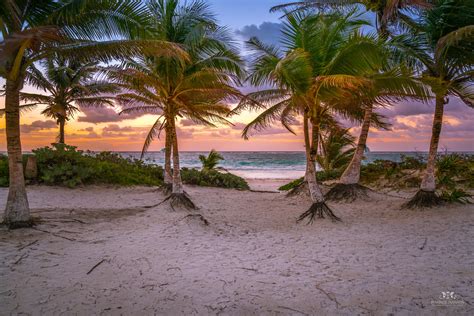 Sunrise Palms And Beach In Tulum Mexico Sunrise Palms A Flickr