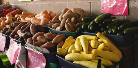 Shop The Local Market For Fresh Produce Efnep Expanded Food And