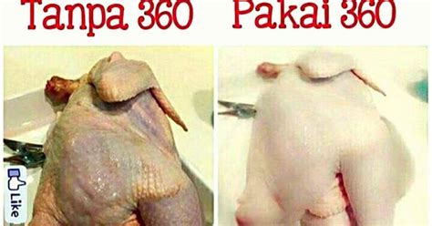Kumpulan 75 Meme Kocak Ayam Terbaik Gudang Gambar