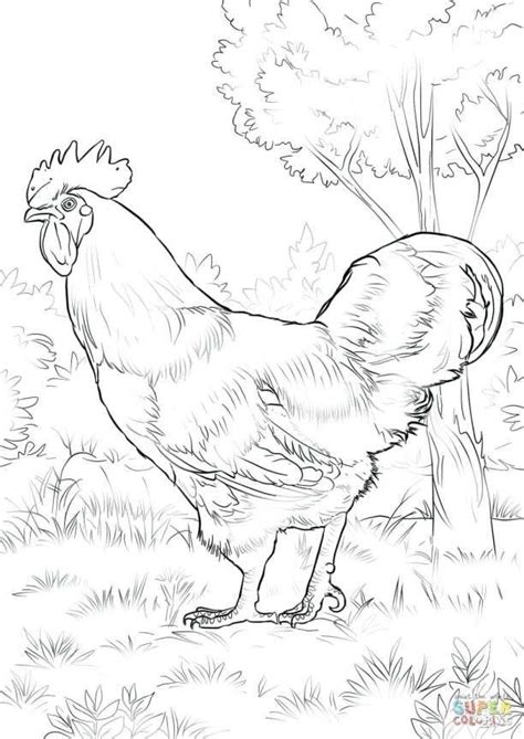 Https://tommynaija.com/coloring Page/adult Coloring Pages Rooster