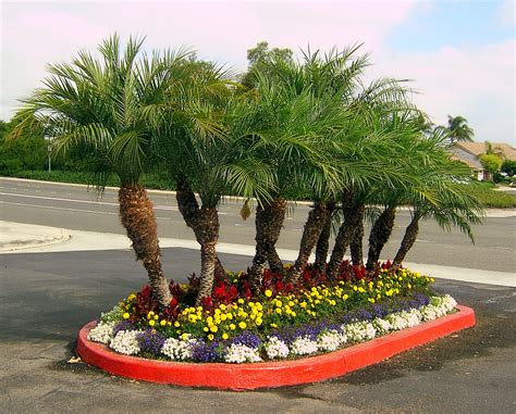 Palm Tree Floral Landscaping Loves Photo Album