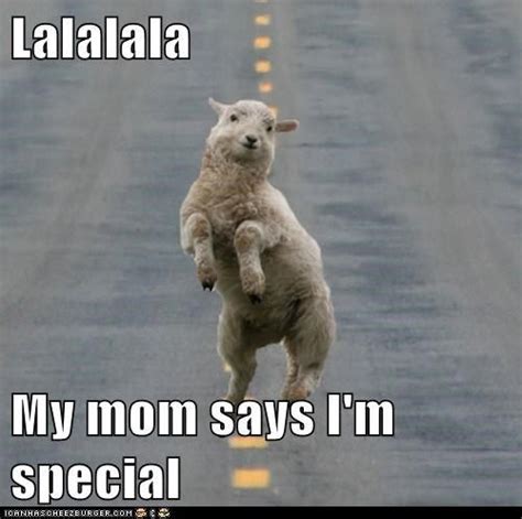 My Mom Says Im Special Meme Llama Lalalala My Mom Says Im Special