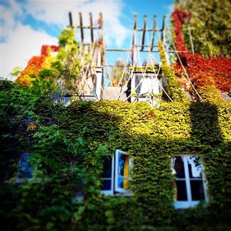 Minna Takala On Instagram “london Garden City” London Street