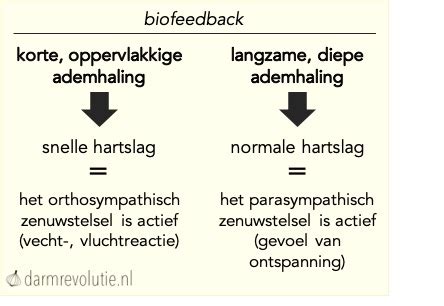 Welke Invloed Hebben Jeugdtraumas Op De Darmen Darmrevolutie Nl