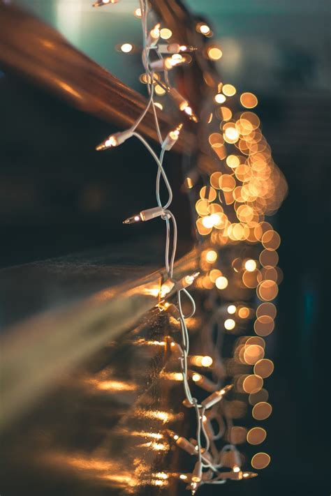 Free Download 20 Best Fairy Lights Pictures On Unsplash