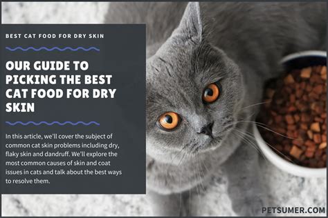 9 Best Cat Foods For Dry Flaky Skin And Dandruff In 2023