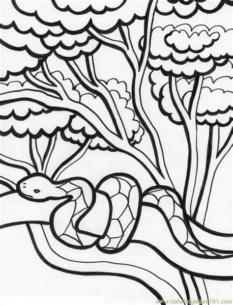 Coloring Pages Rainforest2b2 Natural World Forest Free Printable