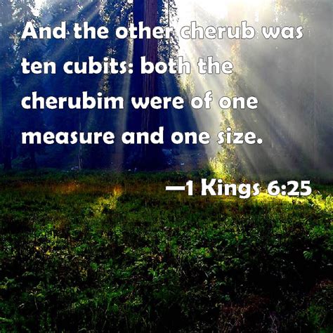 1 Kings 625 And The Other Cherub Was Ten Cubits Both The Cherubim