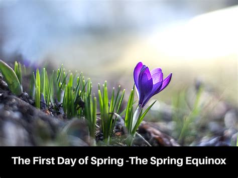 The First Day Of Spring The Spring Equinox