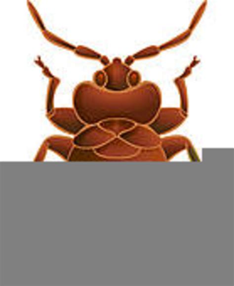 Free Clipart Bedbug | Free Images at Clker.com - vector clip art online ...