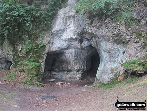King Arthurs Cave Lords Wood In The Royal Forest Of Dean And The Wye