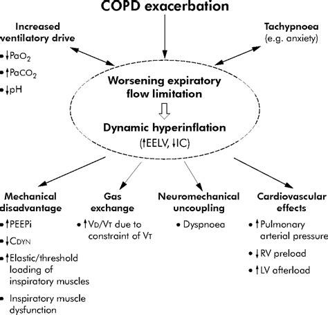 Copd Exacerbations · 3 Pathophysiology Thorax