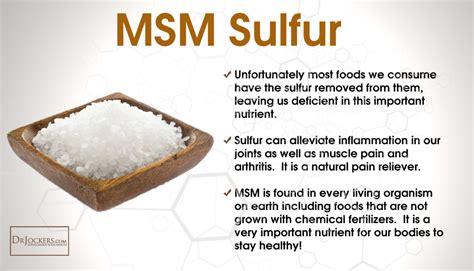 The Health Benefits Of Msm