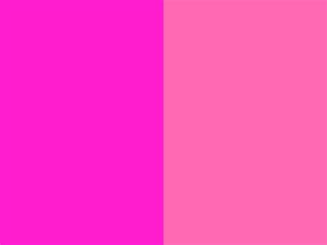 73 Fuschia Pink Background Wallpapersafari