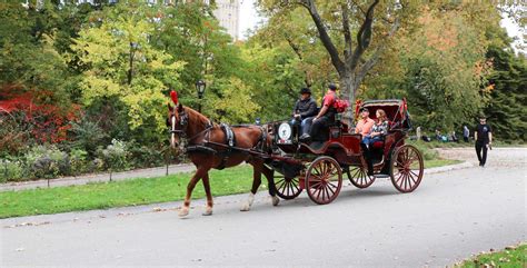 Tours And Prices Central Park Carriage Tours Nyc Horse Carriage Rides