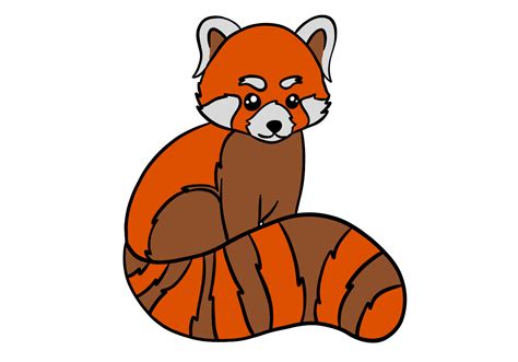 Red Panda Drawing Easy