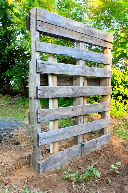 A Wooden Gate Made Out Of Old Pallets In The Middle Of Some Dirt And Grass