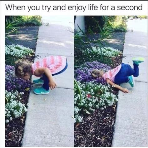 25 Life Sucks Memes That Are Totally Relatable Today