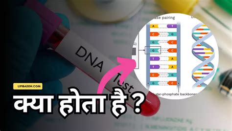 dna test से क्या होता है जाने डीएनए टेस्ट कैसे होता है खर्च