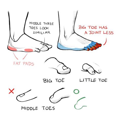 hand and feet tutorial art rocket how to draw hands how to draw fingers anatomy tutorial