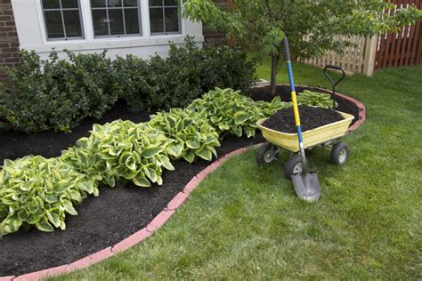 7 Landscaping Tips That Will Protect Your Foundation
