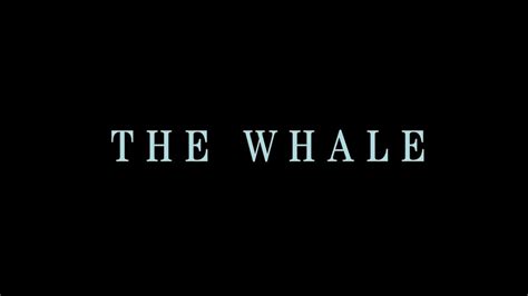 Trailer The Whale A24 Youtube