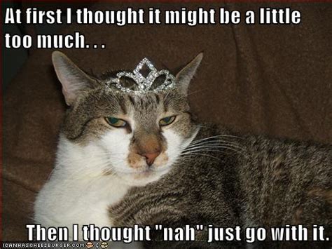 What A Princess Lolcats Lol Cat Memes Funny Cats Funny Cat