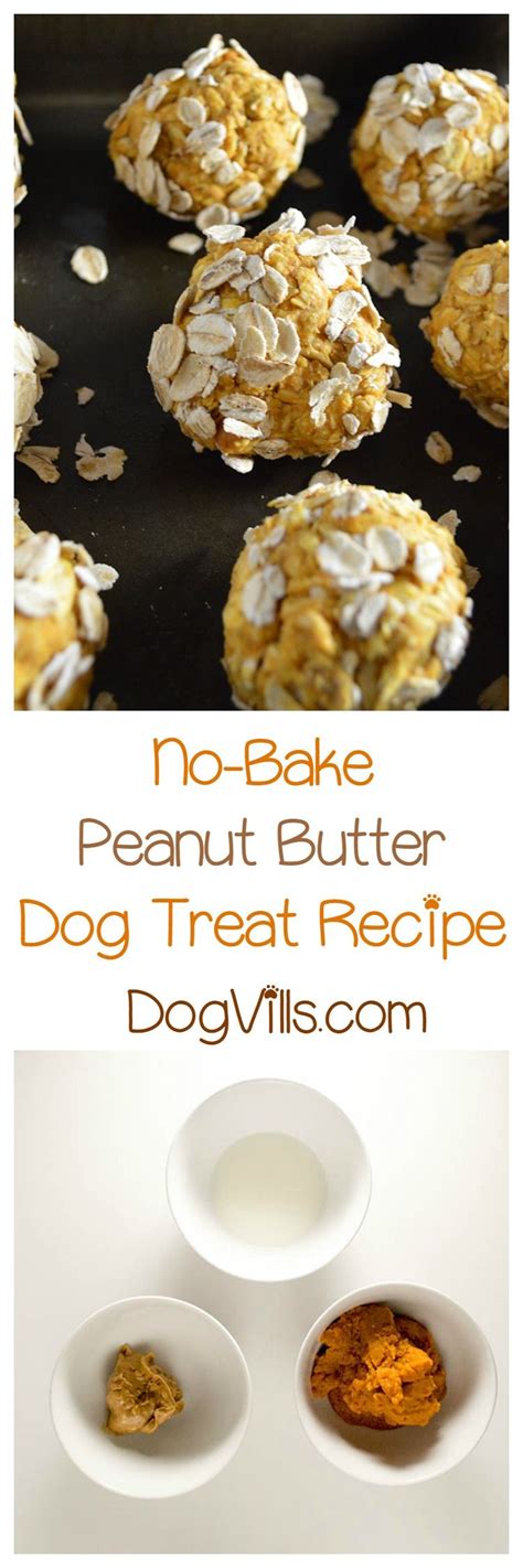 No Bake Peanut Butter Dog Treat Recipe Dog Treat Recipes Peanut